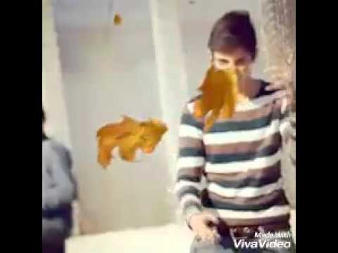 ASIM UZUN SOKAKLAR SAHIDIM SENI UNUTMADIM 2016