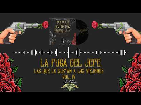 Revolver Cannabis - La Fuga Del Jefe "Audio"