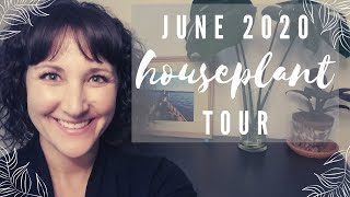 Houseplant Tour
