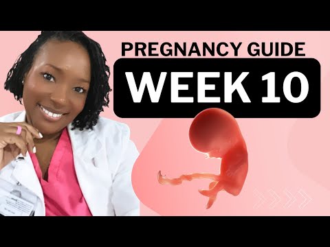 10 Weeks Pregnant: What To Expect
