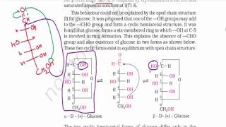 Biomolecules (Part 2) : Cyclic Structure of glucose , Anomers of Glucose |  Class 12 NCERT