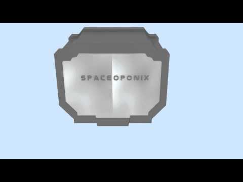 thepresentation0000 0480