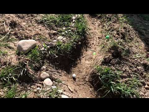 Marble Racing. Quarantine Marble Circuit.