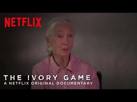 The Ivory Game (Featurette 'Fighting the Trade')