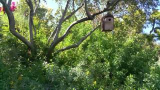 The Secret to Making Your Garden a Haven For All Species