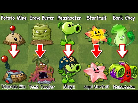 PVZ 2 New Evolution Plants In The Game Plants Vs Zombies 2 - NOOB - PRO - HACKER