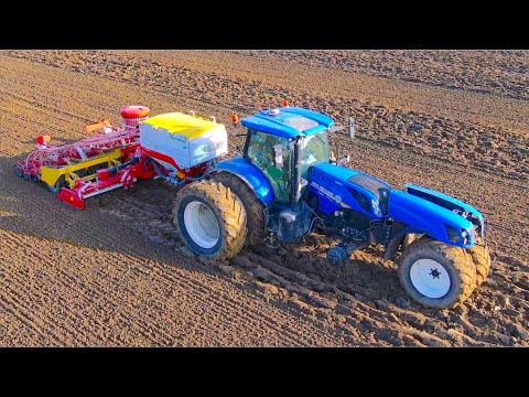 The Trike Tractor | Celeriac Harvest, Ploughing & Sowing | New Holland T7.270 + Pottinger Aerosem VT