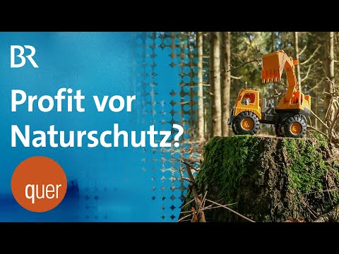 Video Thumbnail: Was ist uns mehr wert: Bodenschatz oder Naturschatz? | quer vom BR