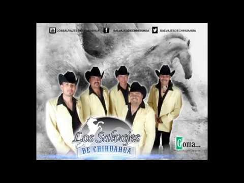 Real Bendición - Los Salvajes De Chihuahua