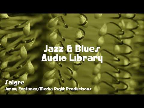 🎵 Salgre - Jimmy Fontanez/Media Right Productions 🎧 No Copyright Music 🎶 Jazz & Blues Music