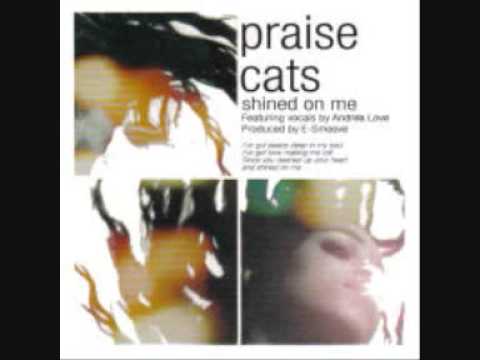 Praise Cats - Shined on Me