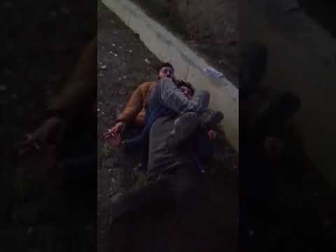 zura vs paikujan ufc campeonato mundial