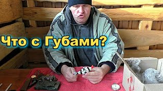 МОЖНО ЛИ ПРОДАТЬ СТАРЫЕ ВЕЩИ ИЛИ ЭТО ХЛАМ?