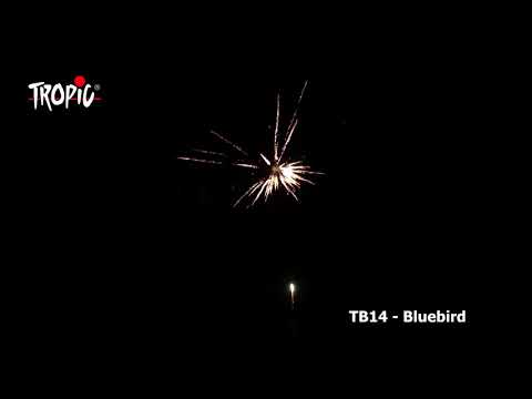 TB14 - Bluebird  - TROPIC Fireworks, Fajerwerki, Feuerwerk, Vuurwerk, Feu d'artifice