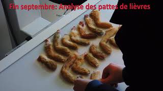 Bilan petit gibier saison 2017/2018