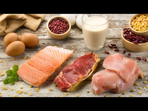 NUTRIÇÃO BÁSICA - PROTEÍNAS