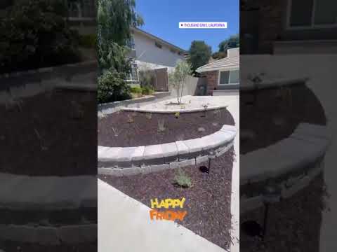 Videos from Marbia Landscape Design