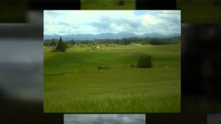 preview picture of video 'Farmlet|0276606801|NZ Nsn 7173|Harcourts|now |rare|call Mike Harvey now|tender|soon|opprtunity|now'