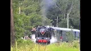 preview picture of video 'Akce Vlak na Sklářské lokálce (archivní materiál) / Action Train on Glass track'