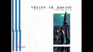 GBV - I Am a Scientist