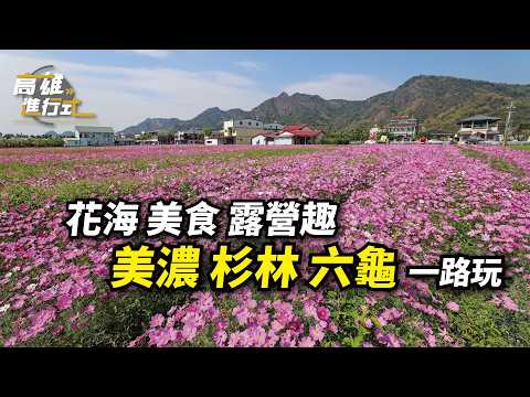花海 美食 露營趣 美濃杉林六龜一路玩 ◆高雄進行式
