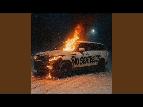 NO SEATBELTS