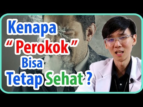 , title : 'Kenapa Perokok Bisa Tetap Sehat ?'