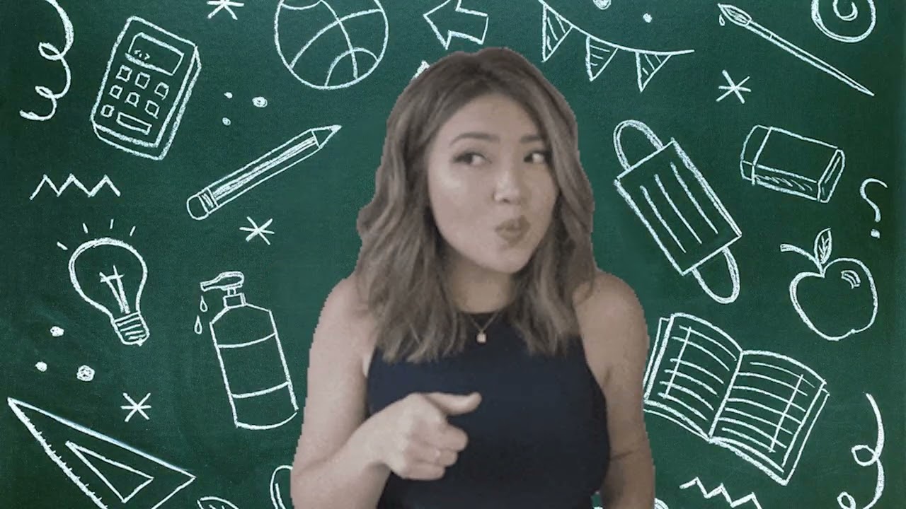 Turtle vs Tortoise - Most Important Differences [2025 Edition]