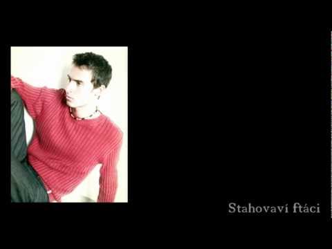 Stahovaví ftáci - Pavol Habera (Cover - Richard Gašperan)