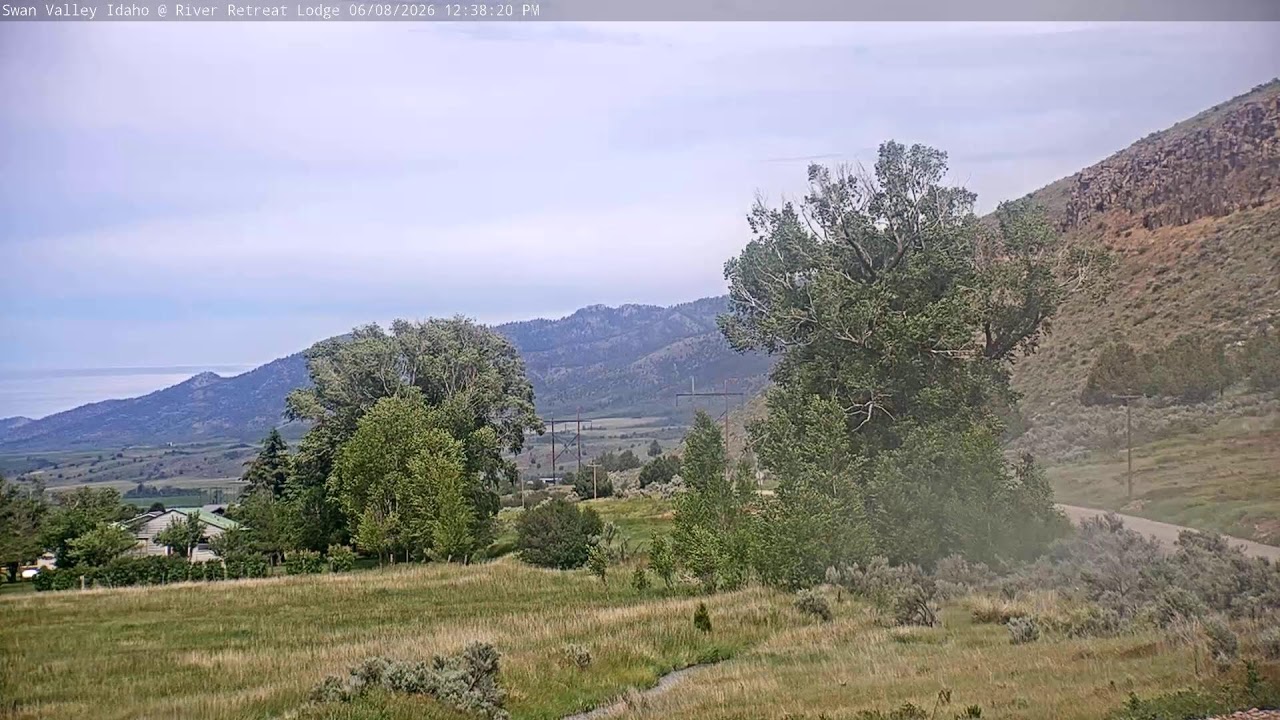 Live webcam view of Río Snake en River Retreat Lodge