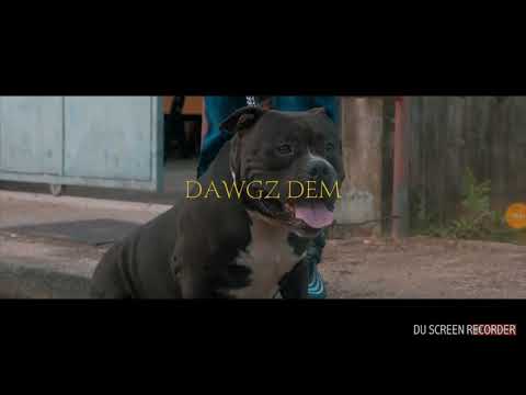 Chani man-dawgz dem