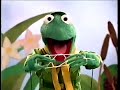 Nick Jr Muppet Time Frog Scouts Billy Bunny