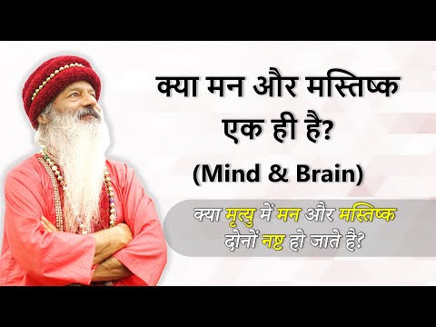 क्या मन और मस्तिष्क एक ही है?