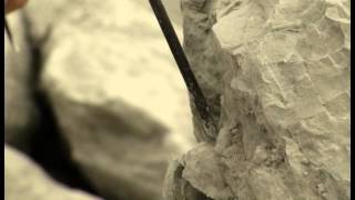 preview picture of video 'Fossilien finden in der Region Hannover - Auf Entdeckertour in der Mergelgrube Höver'