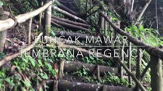 preview picture of video 'Puncak Mawar west bali jembrana regency'