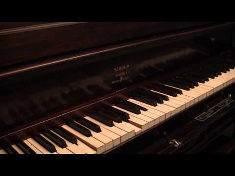 Dancing Tambourine By Armand Muth