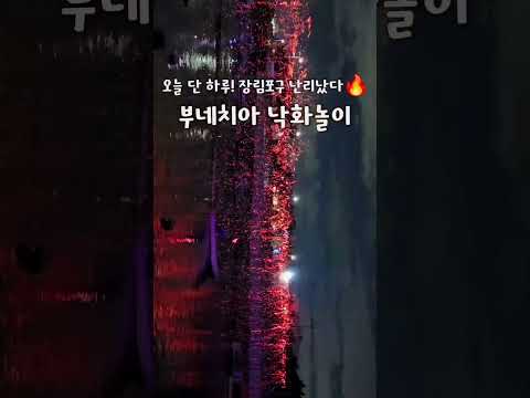 단 하루 진행한 부산 #낙화축제 #장림포구 #부네치아