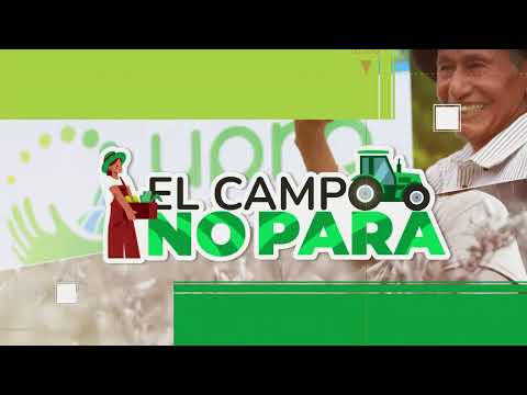 #ElCampoNoPara | Santana, Boyacá: la transformación panelera que endulza el futuro del campo