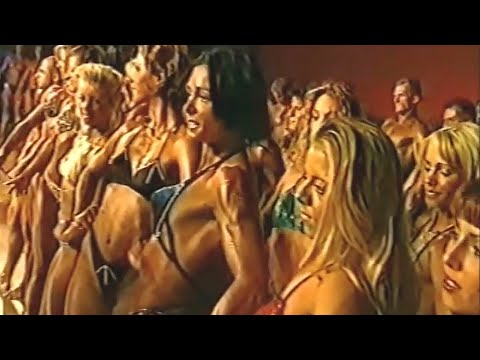 WFF Universe 2000 Summary