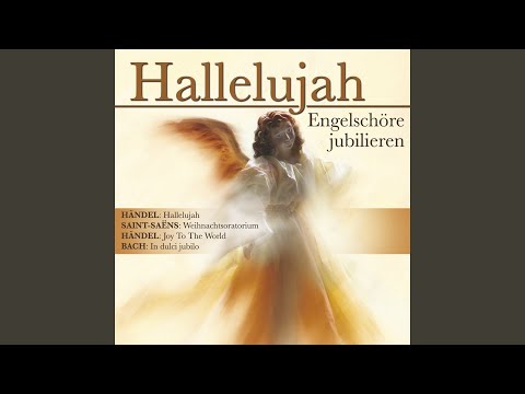 Stille Nacht, heilige Nacht ()