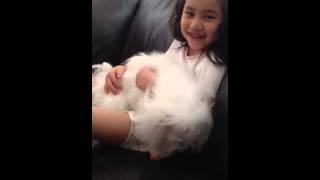 Angel - Splash and Dash