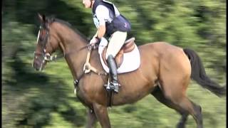 preview picture of video 'Molly Rosin  Toulouse  Maryland Horse Trials   XC/OT  9/9/2012'