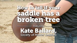 How to tell if your saddle has a broken tree | Kate Ballard, Society of Master Saddlers