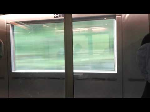 Schieti auf der Heimreise im ICE...