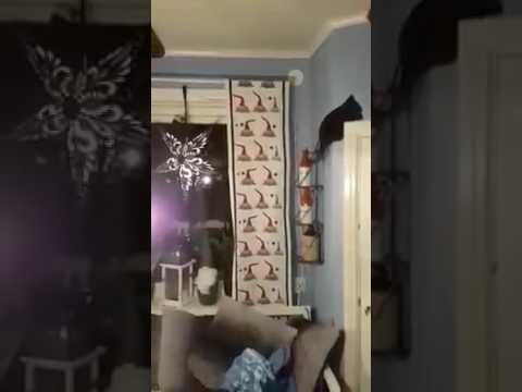 Marie bad sin sambo sätta upp julgardiner – kom hem till det här