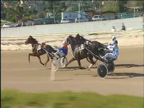 Trotto 02/04/2018 - 6ª corsa