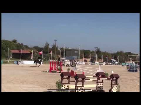 Chirokko M Vilamoura CSI*** 1.55m Grand Prix
