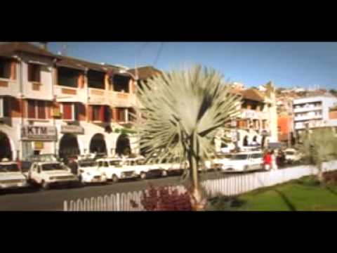 DELPHIN Fitia modely