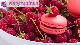 Мои макаронс - макаруны - macarons | Vinogradinka