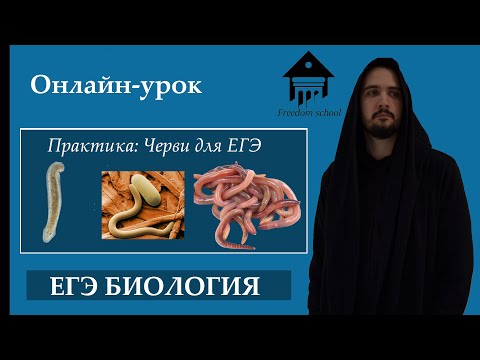 Задания ЕГЭ по ТИПАМ ЧЕРВЕЙ |ЕГЭ Биология| Freedom bio